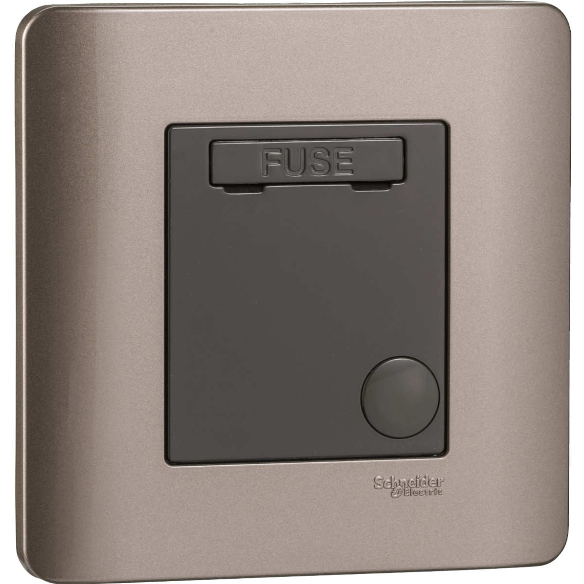 Schneider Electric 施耐德電氣 E8430FSG SZ Zencelo 13A 單位保險菲士蘇 (銀銅)